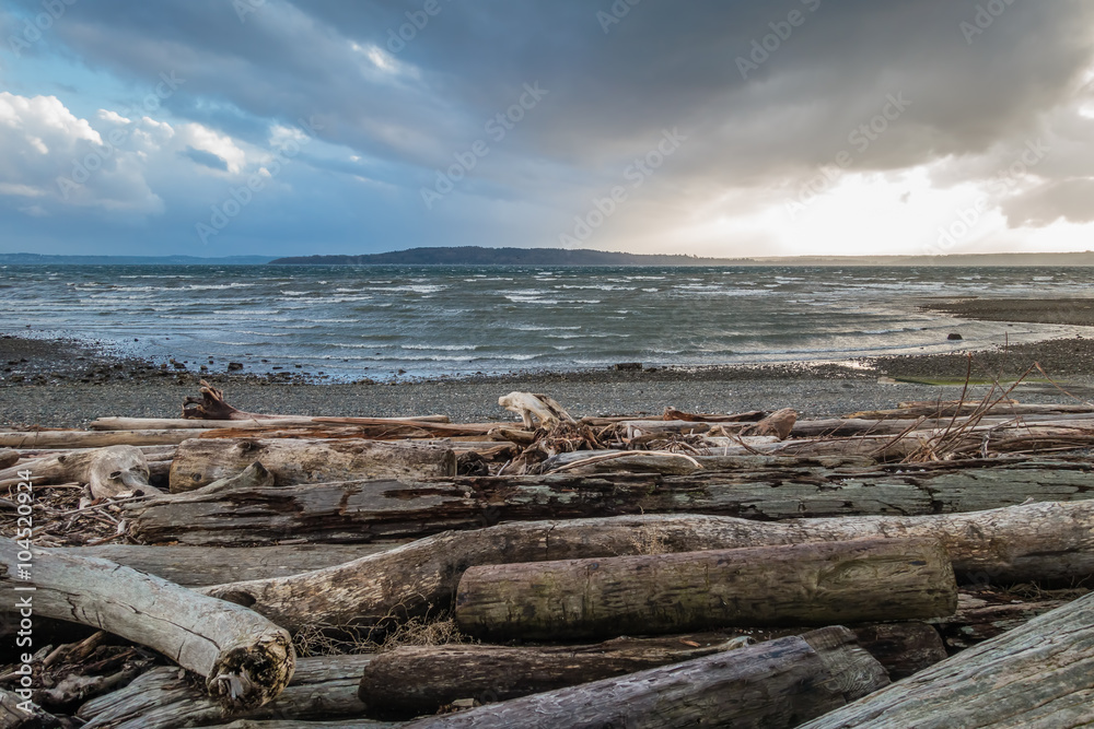 Puget Sound Shoreline 3