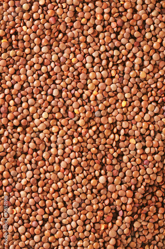 Raw whole red lentils © Viktor
