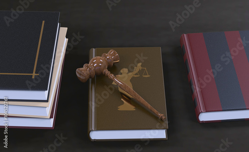 Gavel on a law book