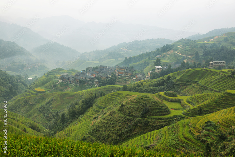 Fototapeta premium Views of green Longji terraced fields and Dazhai village