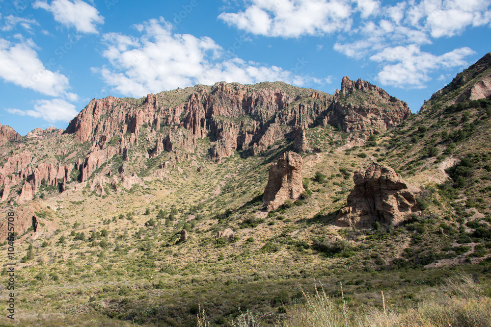 Fototapeta premium Big Bend National Park