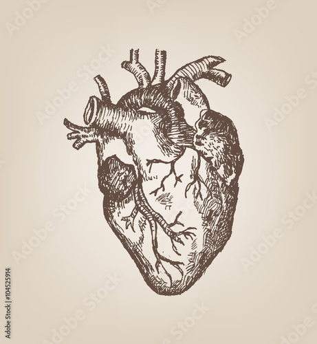 Human Heart Hand Sketch Style in sepia tone. Vintage Editable Clip Art.
