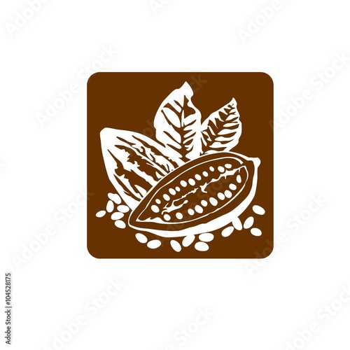 Cocoa beans / vector logo. Business icon for the company. Cocoa icons badges logos and labels for any use. Vector illustration.