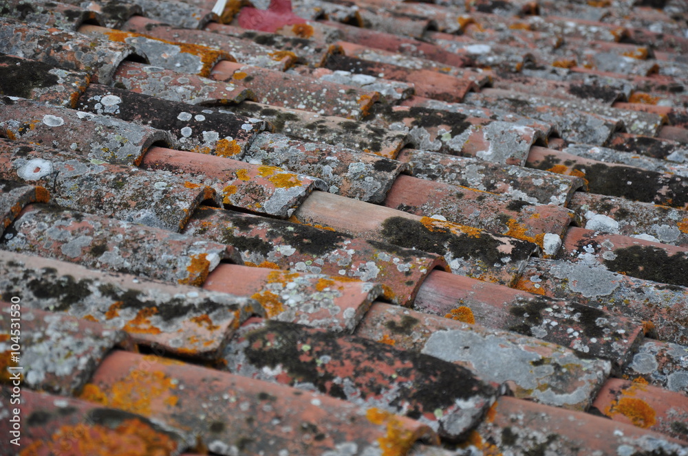 Obraz premium Cortona