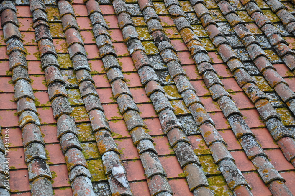 Fototapeta premium Cortona