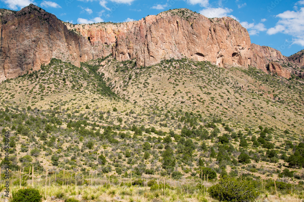 Fototapeta premium Big Bend National Park