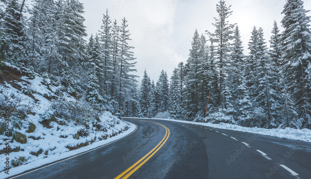 scenic view of the road in the forest with snow covered.