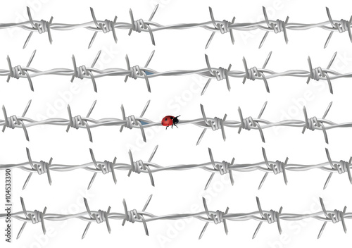 coccinella sul filo spinato