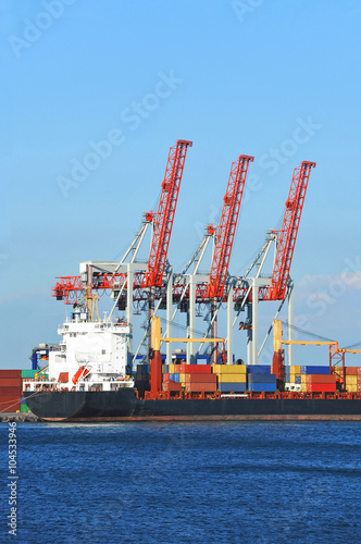 Cargo crane and ship