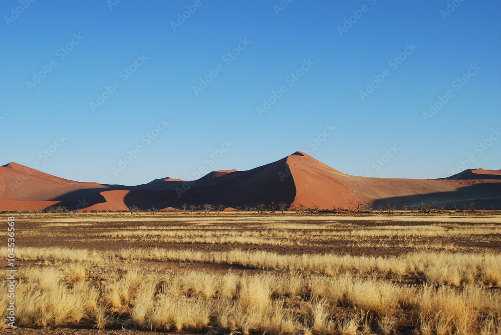 Namibia, Sossusvlei, View of sand dune Namibia, Sossusvlei, View of sand dune