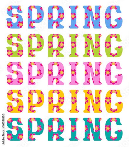 colorful spring flowers in the word vector illustration