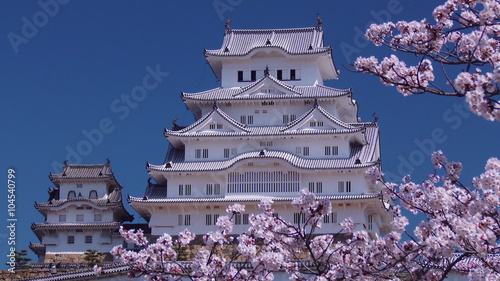 桜咲く姫路城　日本で最も美しい城