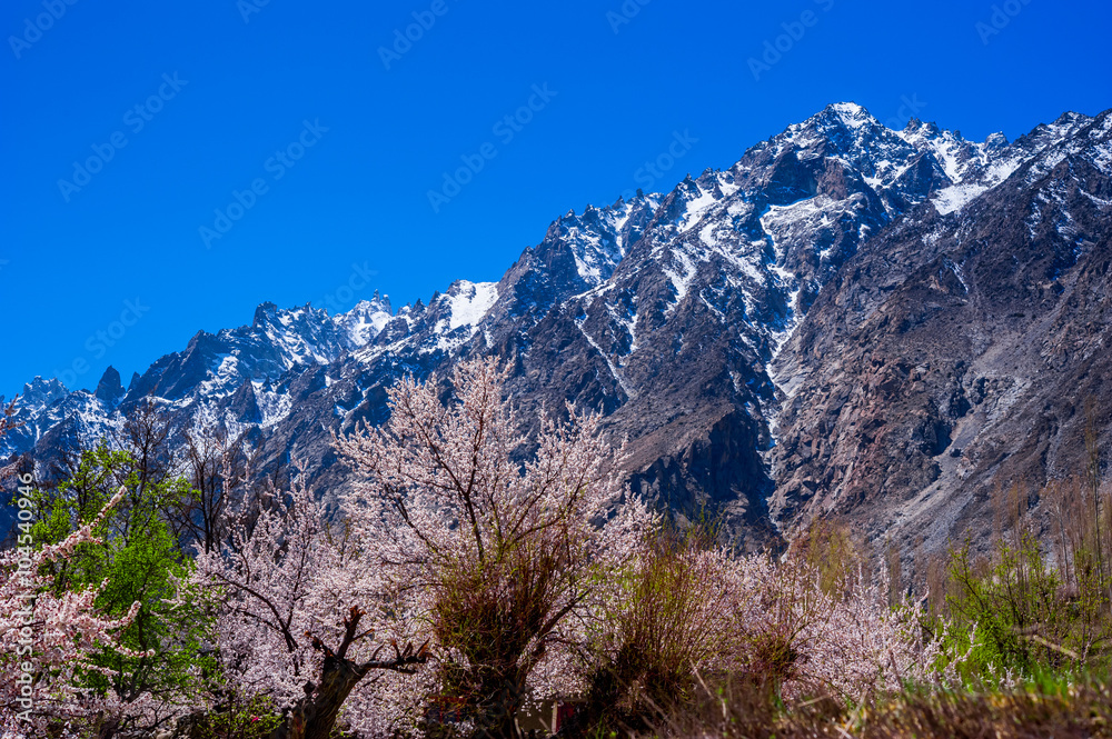 beautiful Landscape of mountain peak in Autumn season. Northern Area of Pakistan beautiful Landscape of mountain peak in Autumn season. Northern Area of Pakistan