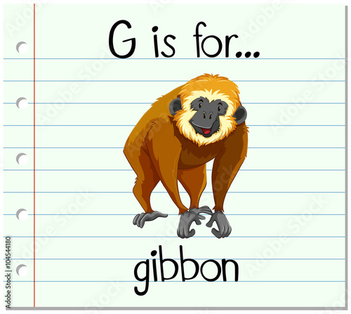 Flashcard letter G is for gibbon