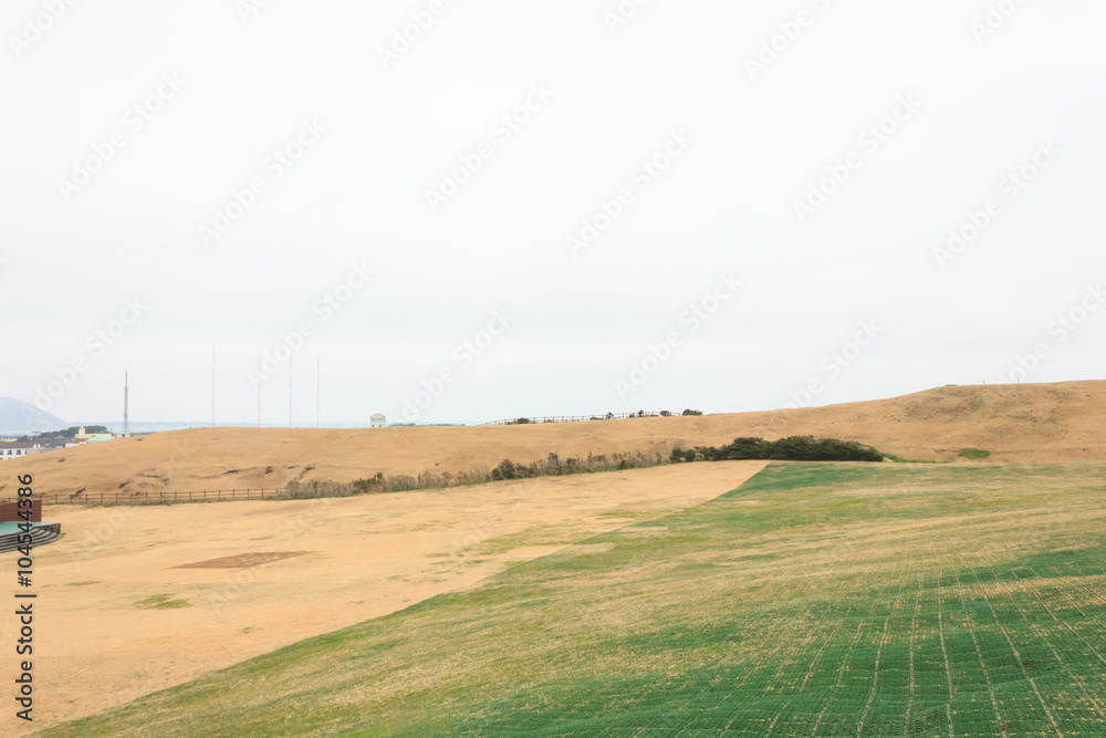 Fototapeta premium Winter landscapes in Jeju Island South Korea