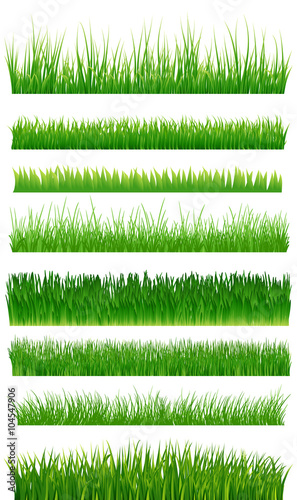 Green grass borders collection over white. Vector illustration