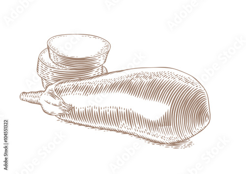 Raw whole and sliced eggplant