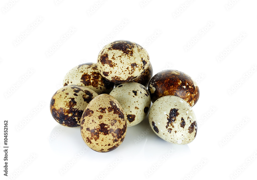 Obraz premium quail eggs isolated on white background