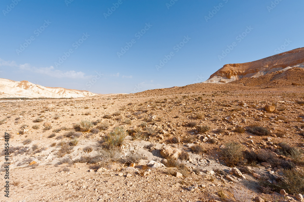 Desert in Israel