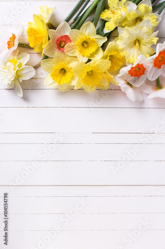 Narcissus flowers  on white  painted wooden planks