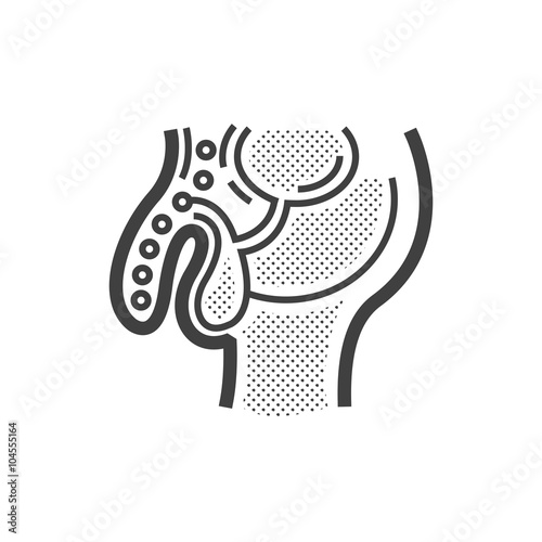 Urinary tract cancer icon