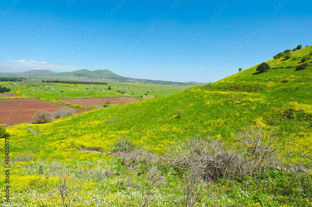 Golan Heights