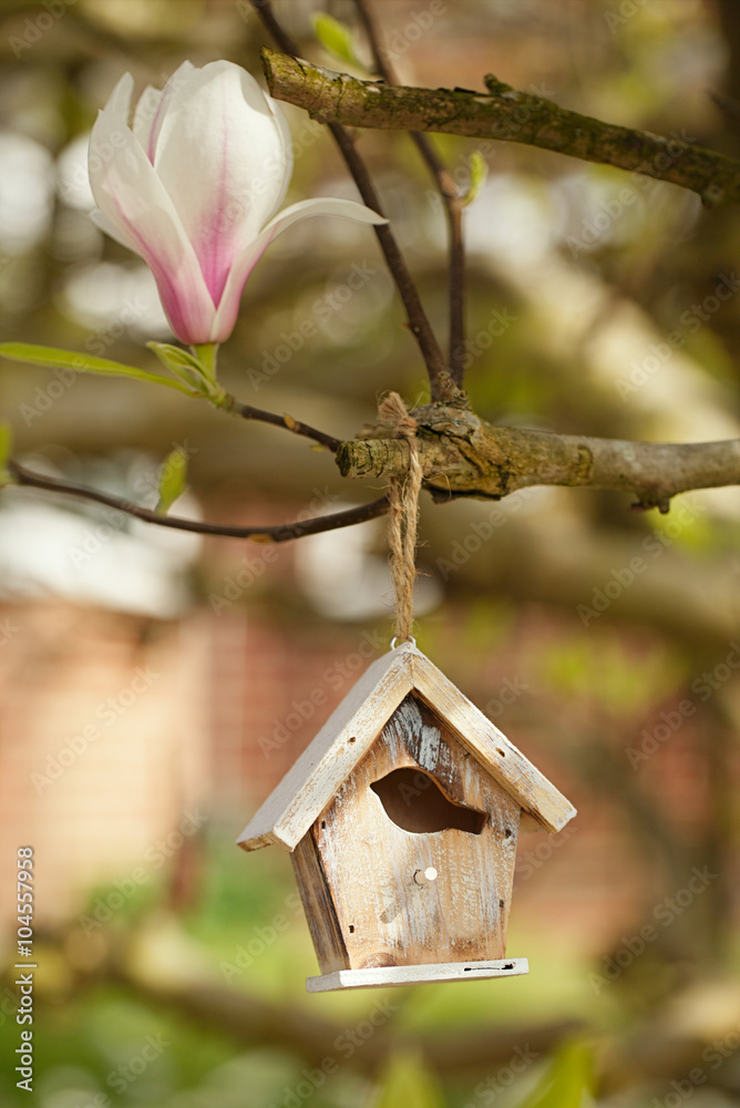 Little Birdhouse in Spring magnolia flower tree