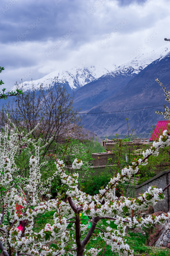 Fototapeta premium beautiful Landscape of Hunza Valley in Autumn season, Northern Area of Pakistan