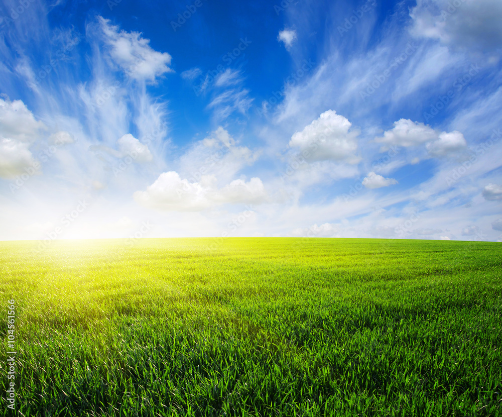 field and sun field and sun