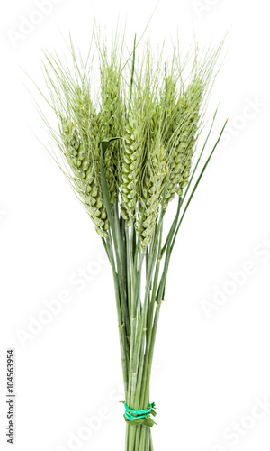 Wheat ears isolated