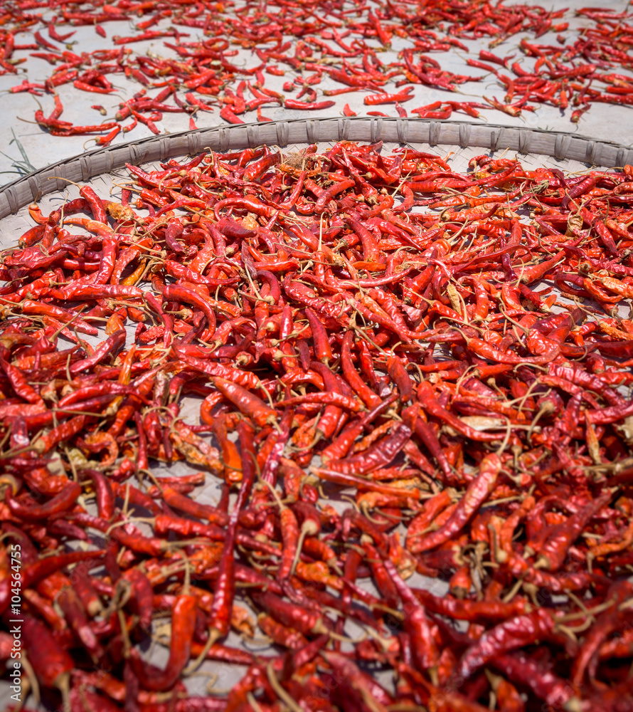 Fototapeta premium trocknende Chilis