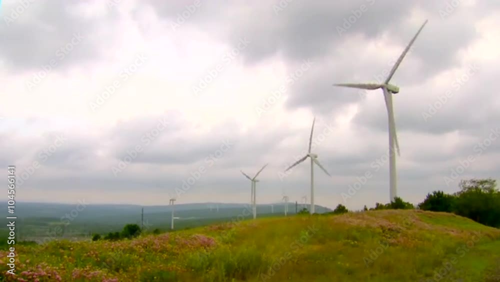 Wind energy is a clean form of generating electricity.