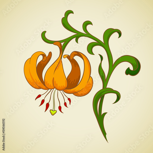 Fototapeta Naklejka Na Ścianę i Meble -  Vector lily flower.