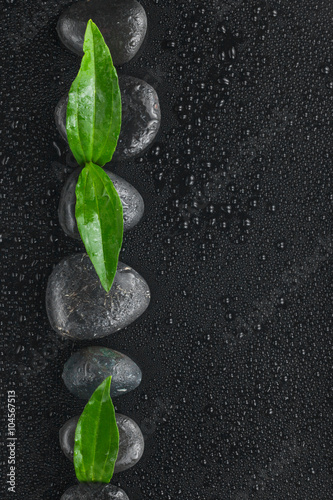 Canvas Print Line made from black stones and leaves