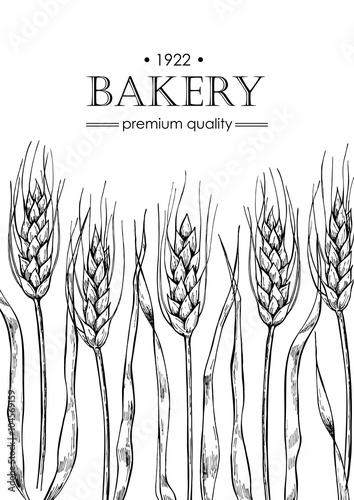 Vector vintage bread and bakery illustration. Hand drawn banner.