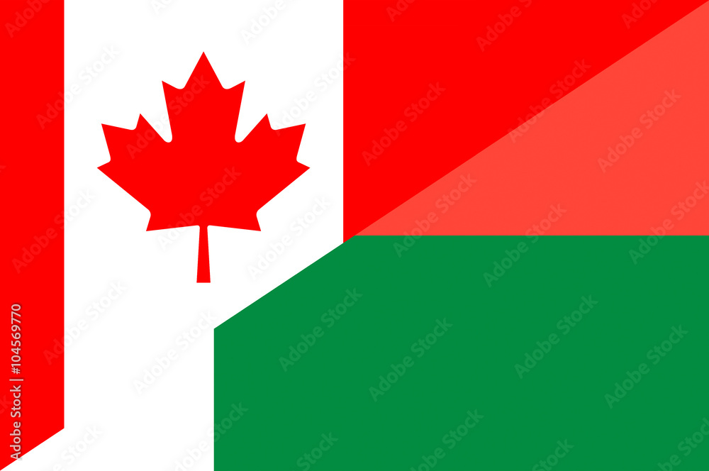 Fototapeta premium Waving flag of Madagascar and Canada