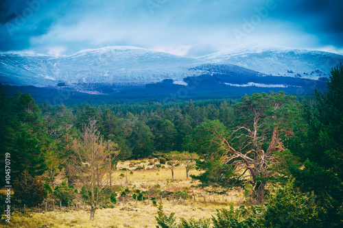 Cairngorms, Scottish Highlands photo