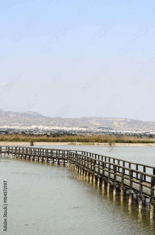 Fototapeta premium Wooden walkway in Spain