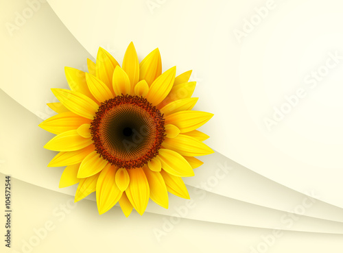 Background with sunflower,