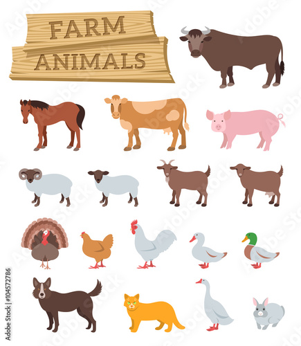 Domestic farm animals flat vector icons set. Colorful illustrations of large and small cattle, domestic birds and pets. Farming  infographic elements. Cartoon educational clip art. Isolated on white