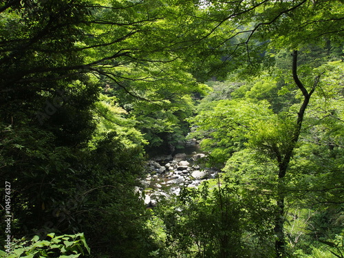 Chamberlain's Hakone Promenade/Kanagawa,Japan