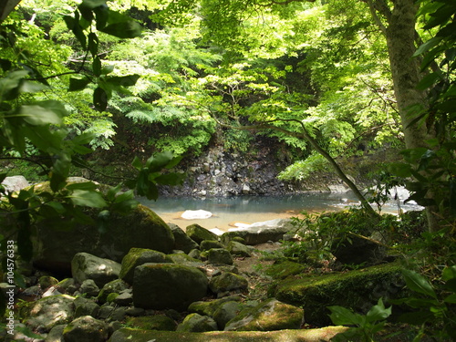 Chamberlain's Hakone Promenade/Kanagawa,Japan