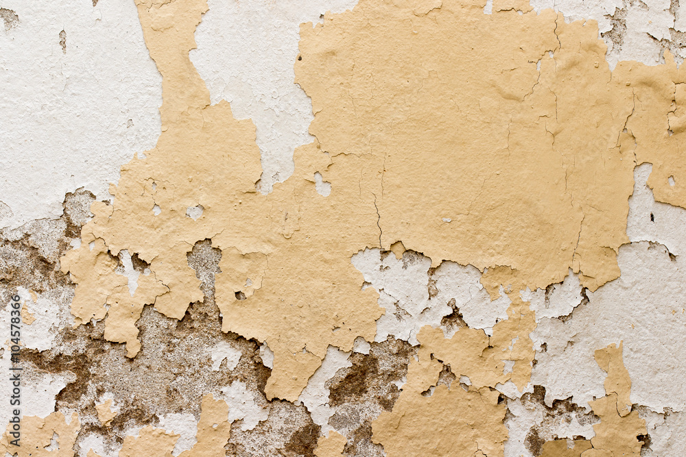 white concrete wall texture
white concrete wall texture