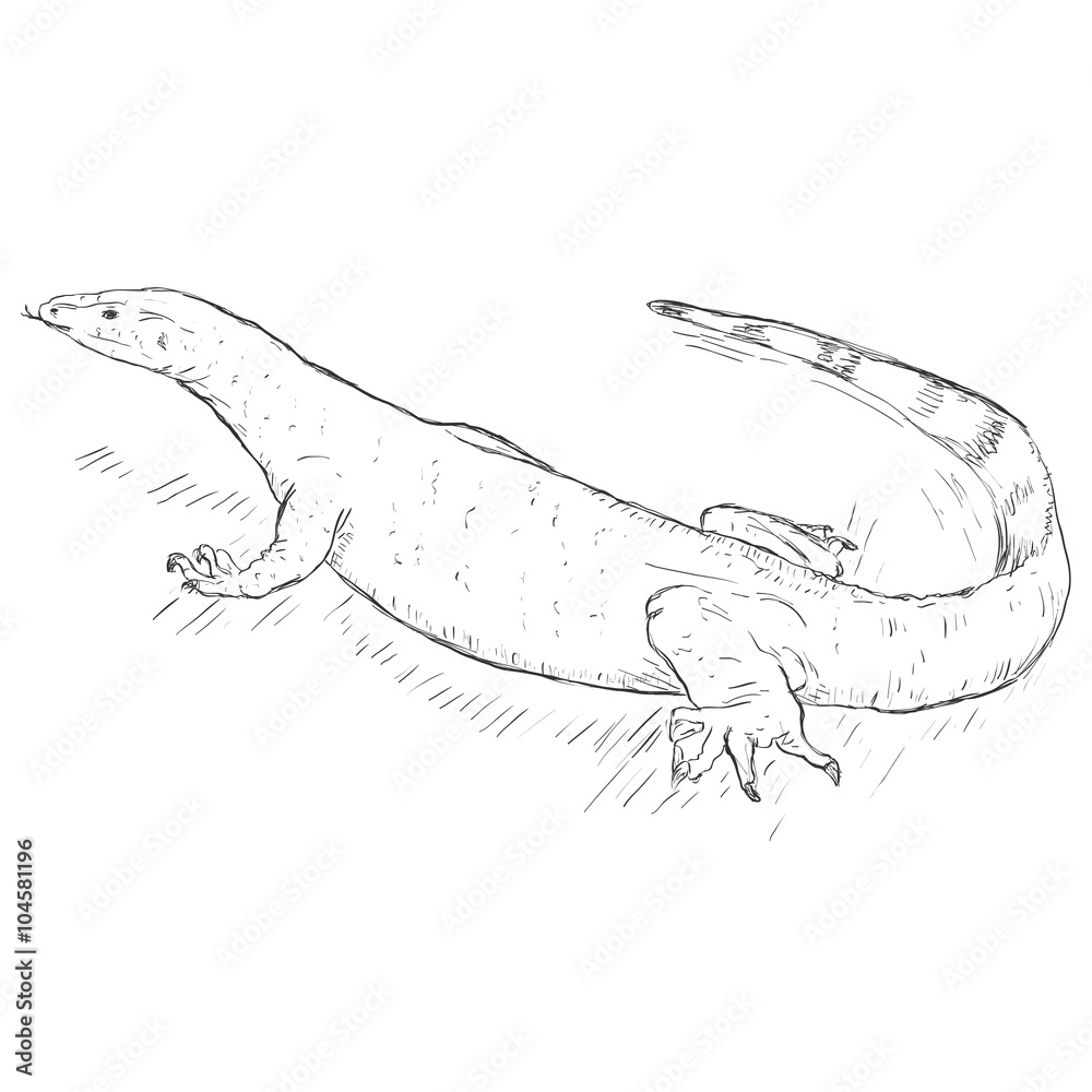 Monitor Lizard Clipart White And Black