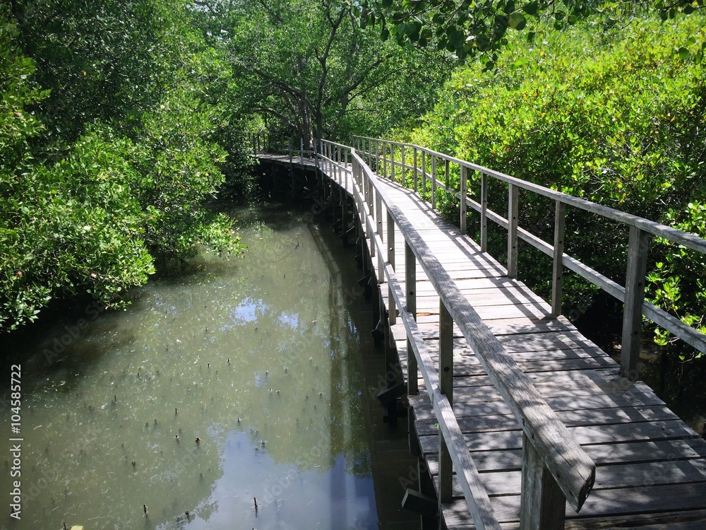 Fototapeta premium Wooden Bridge On Riverside