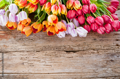 Fototapeta Naklejka Na Ścianę i Meble -  Ostern hintergrund mit bunten Tulpen 