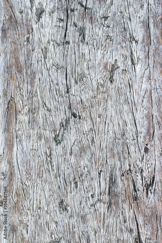 Obraz premium wood texture. background old panels