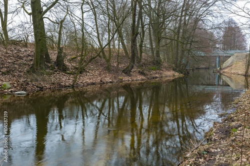 River in springtime forest in Poland photo