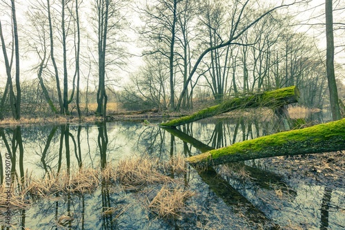 Fototapeta Naklejka Na Ścianę i Meble -  Vintage picture of river in springtime forest