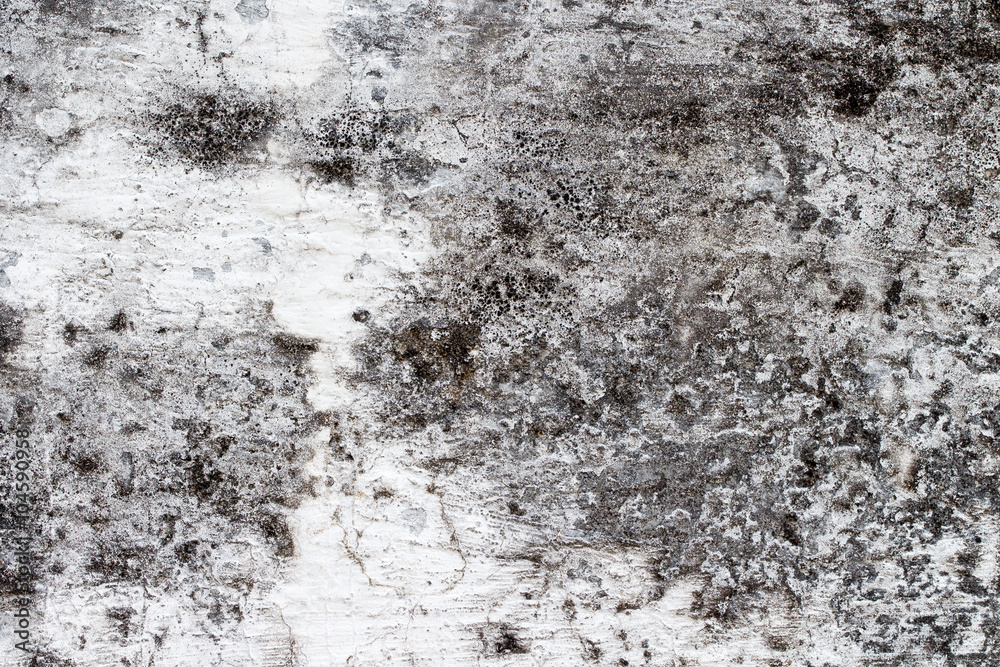 Fototapeta premium white concrete wall texture